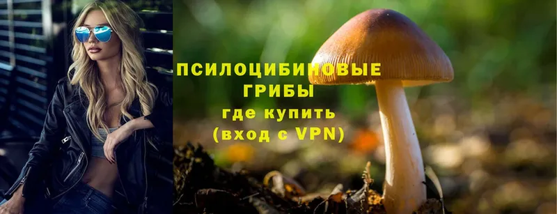 Псилоцибиновые грибы MAGIC MUSHROOMS  Губкин 